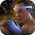 泰拳2格斗冲突中文版