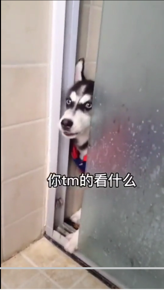 抖音于和伟吐唾沫动图-插图1