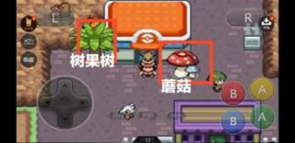 精灵宝可梦回响之音-插图2
