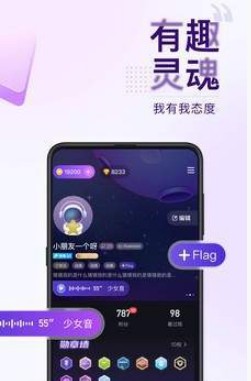 Flag语音-插图1