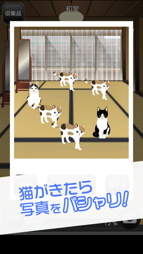可爱猫咪满满2-插图2