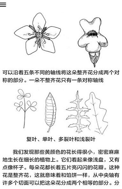 野外植物识别手册app-插图1