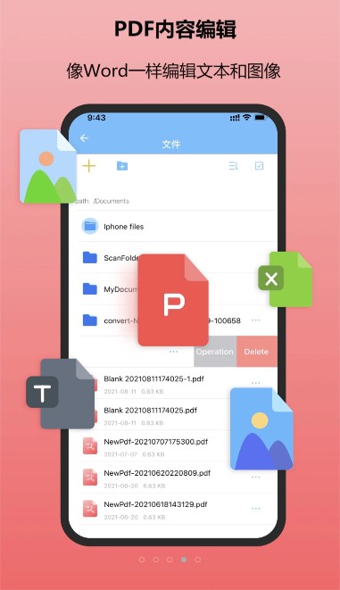 金闪PDF-插图2