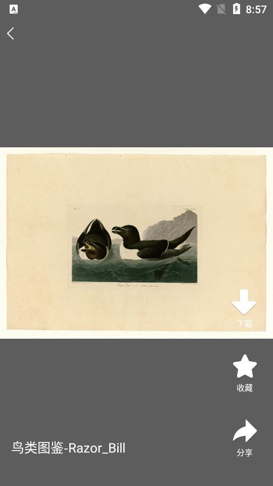 中国名画