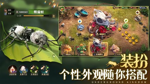 小小蚁国免登录版