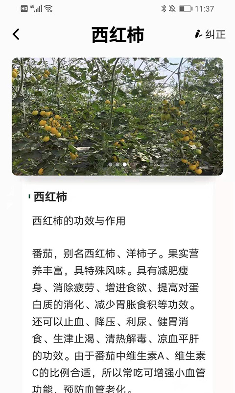 植物科普百科