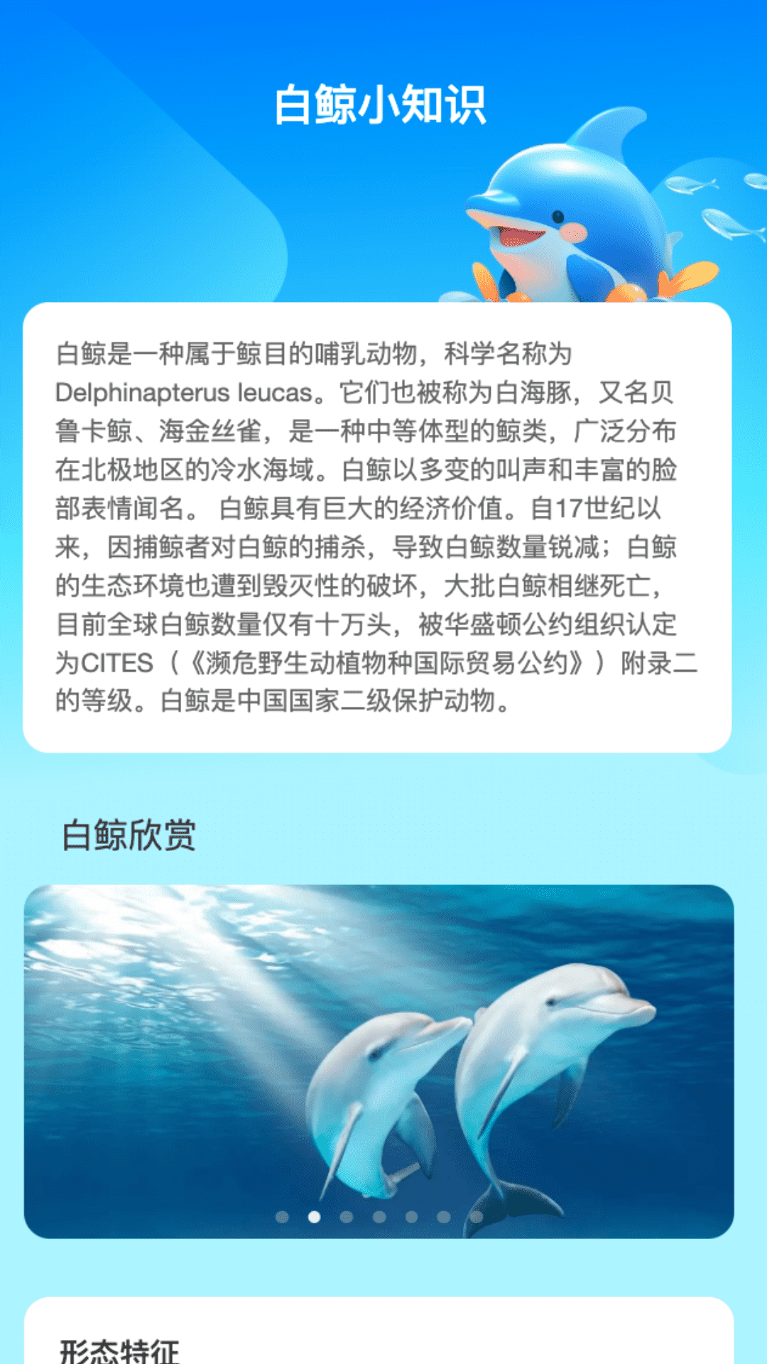 白鲸流量管理