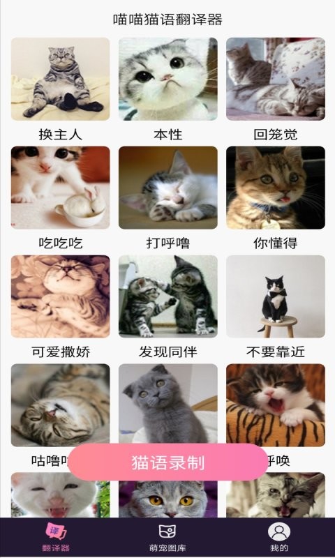 喵喵猫语翻译器