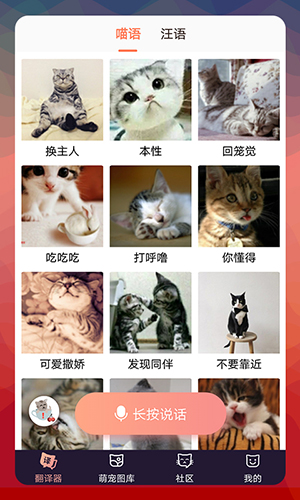 猫语翻译交流器