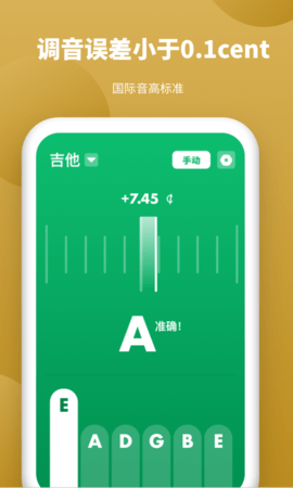 专业琵琶调音器